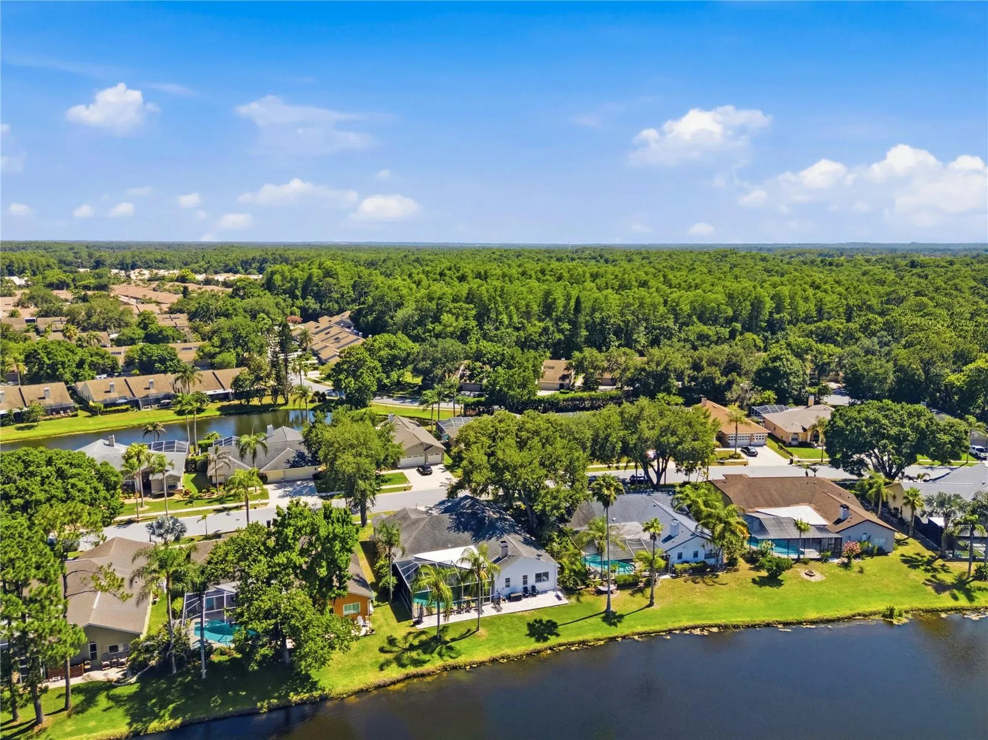 4149 Ridgemoor Drive N Palm Harbor FL 34685