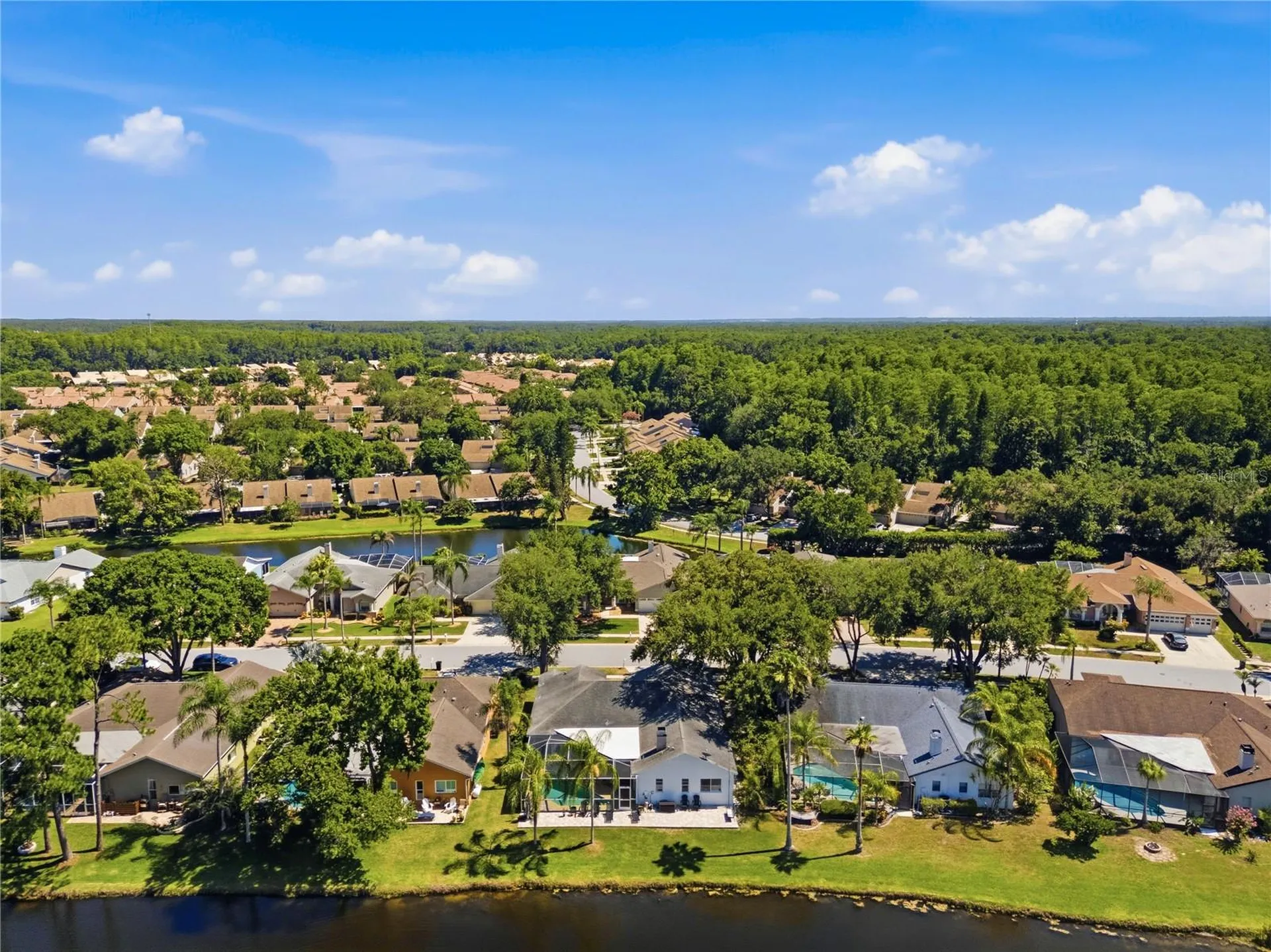 4149 Ridgemoor Drive N Palm Harbor FL 34685