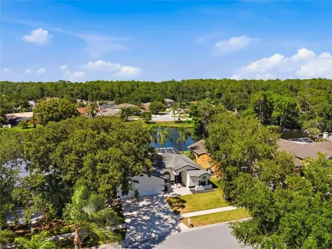 4149 Ridgemoor Drive N Palm Harbor FL 34685