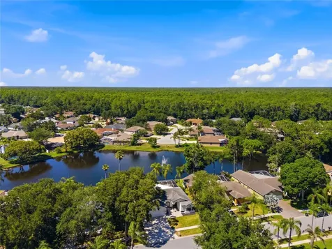 4149 Ridgemoor Drive N Palm Harbor FL 34685