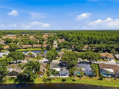 4149 Ridgemoor Drive N Palm Harbor FL 34685