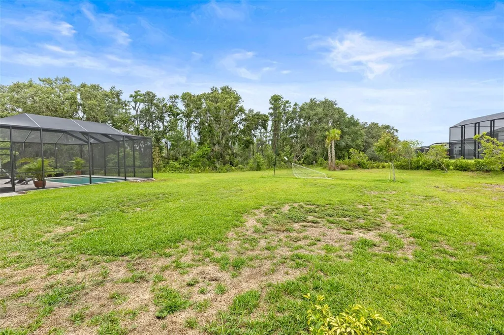 3541 Great Banyan Way Wesley Chapel FL 33543