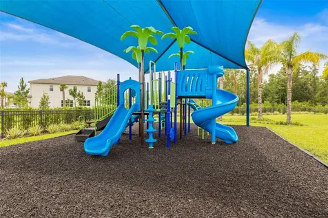 3541 Great Banyan Way Wesley Chapel FL 33543