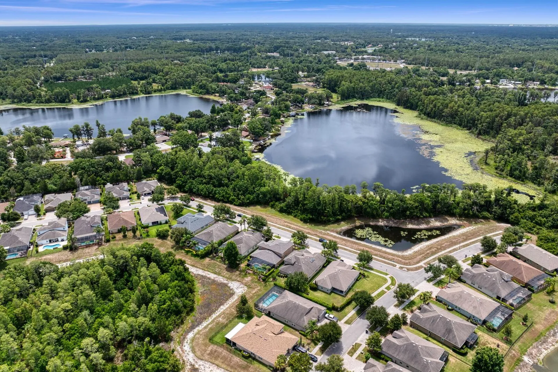 19406 Butterwood Lane Lutz FL 33558