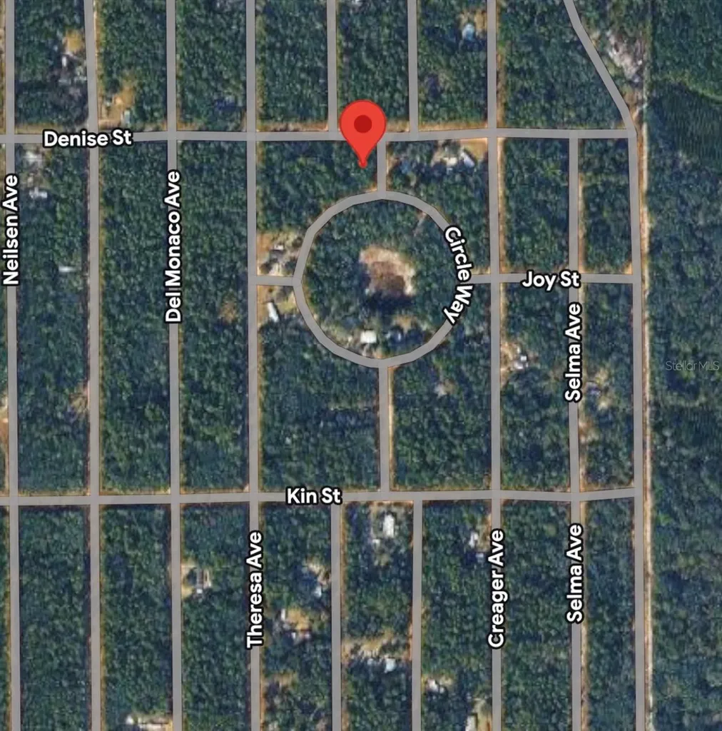 Denise Street Interlachen FL 32148