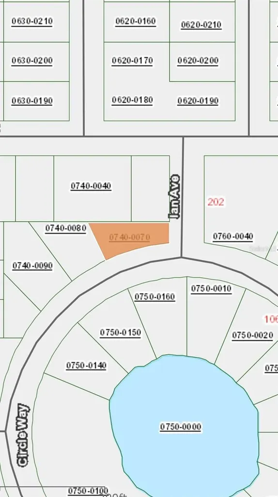 Denise Street Interlachen FL 32148