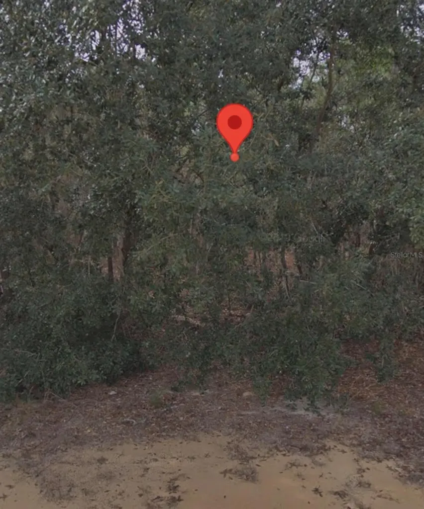 Denise Street Interlachen FL 32148