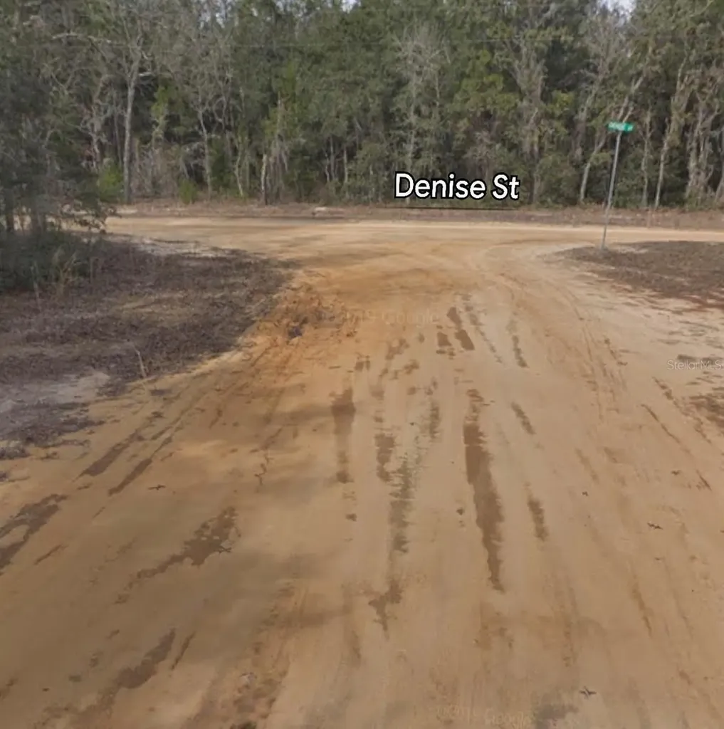 Denise Street Interlachen FL 32148