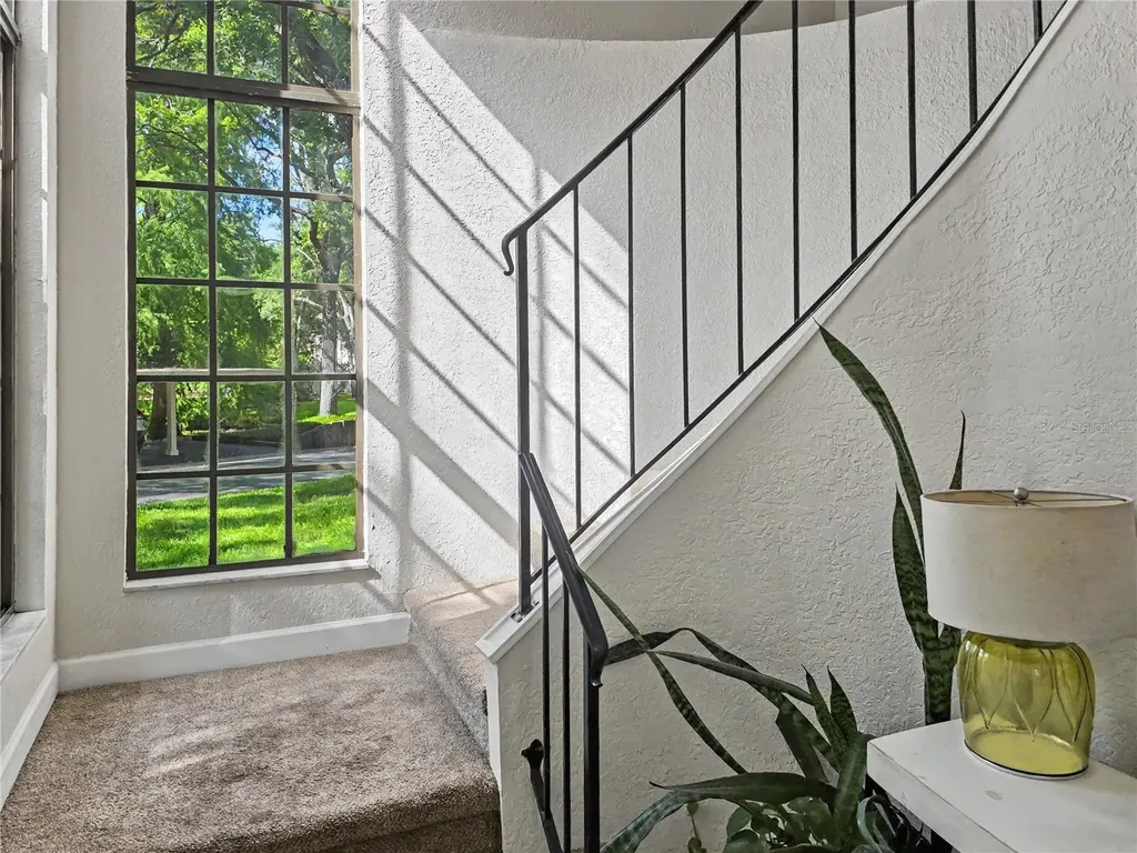 247 Los Prados Drive Safety Harbor FL 34695