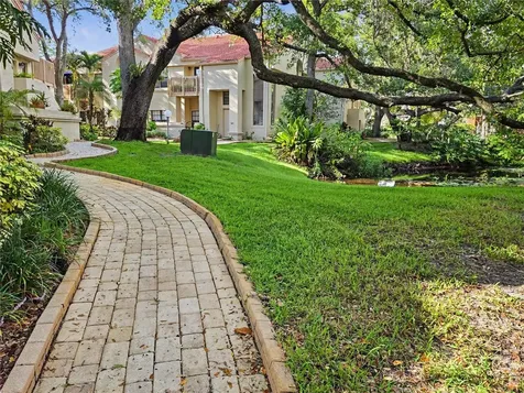 247 Los Prados Drive Safety Harbor FL 34695