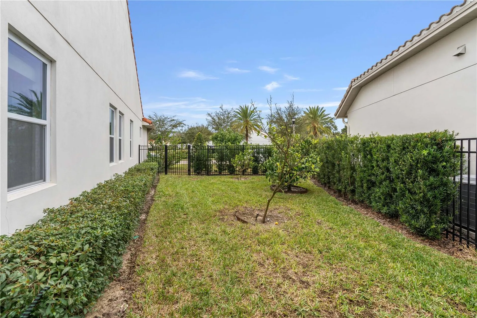 2977 Rapollo Lane Apopka FL 32712