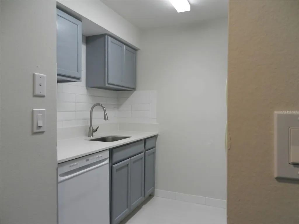 4013 Dream Oak Place Tampa FL 33613