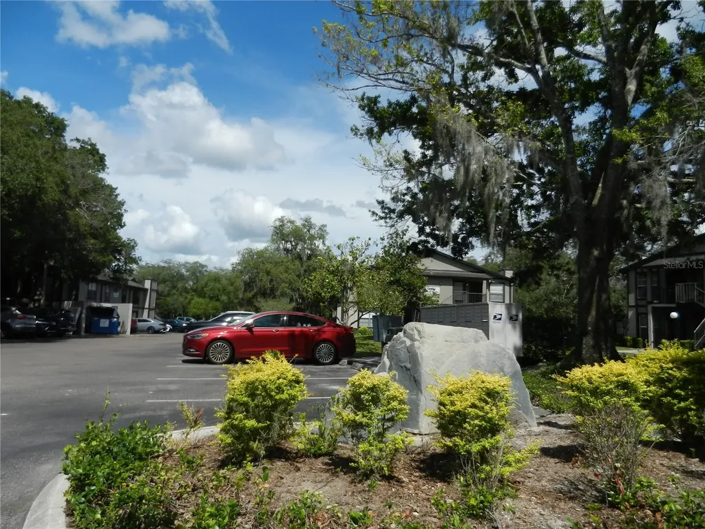 4013 Dream Oak Place Tampa FL 33613
