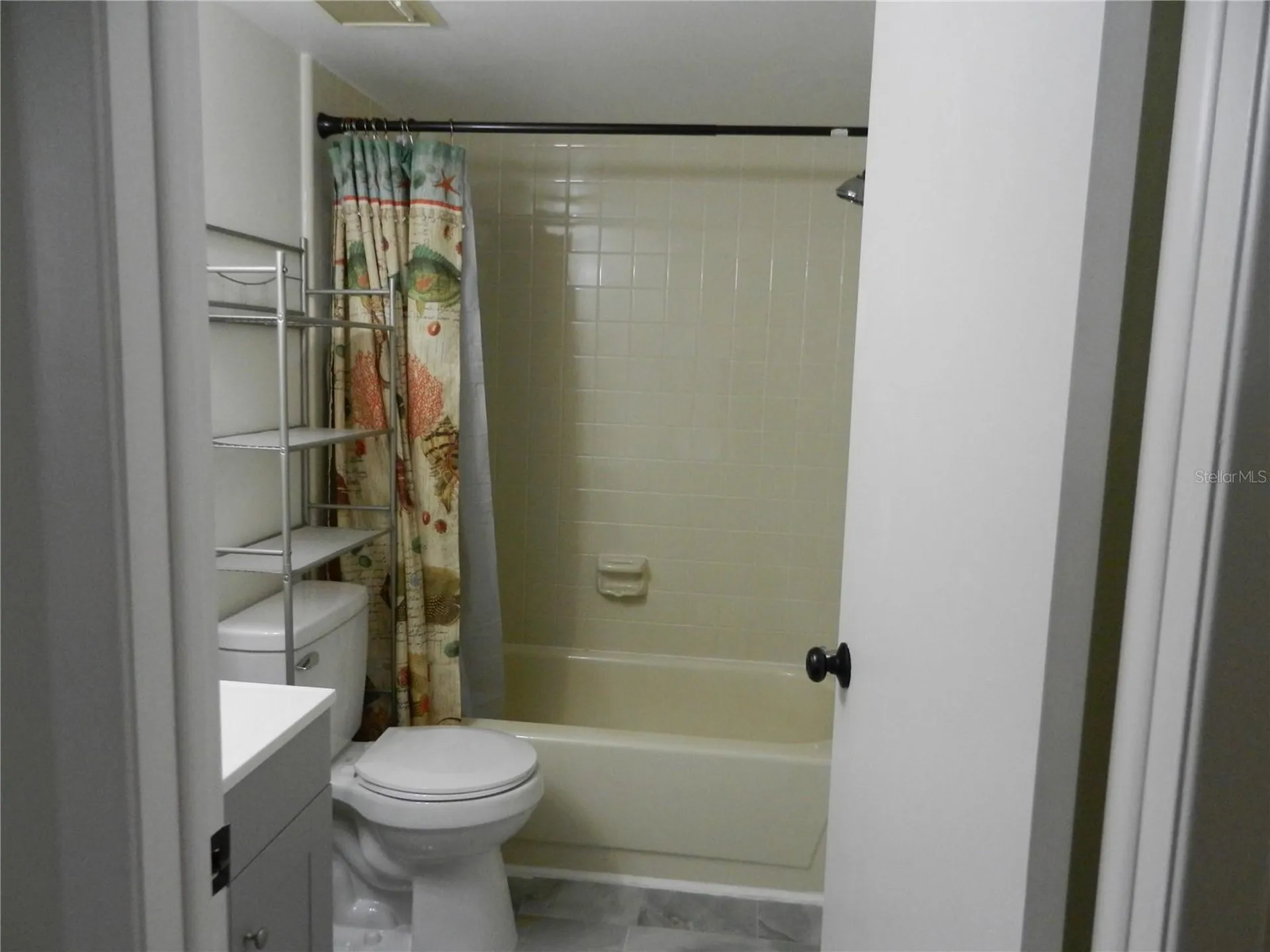 4013 Dream Oak Place Tampa FL 33613