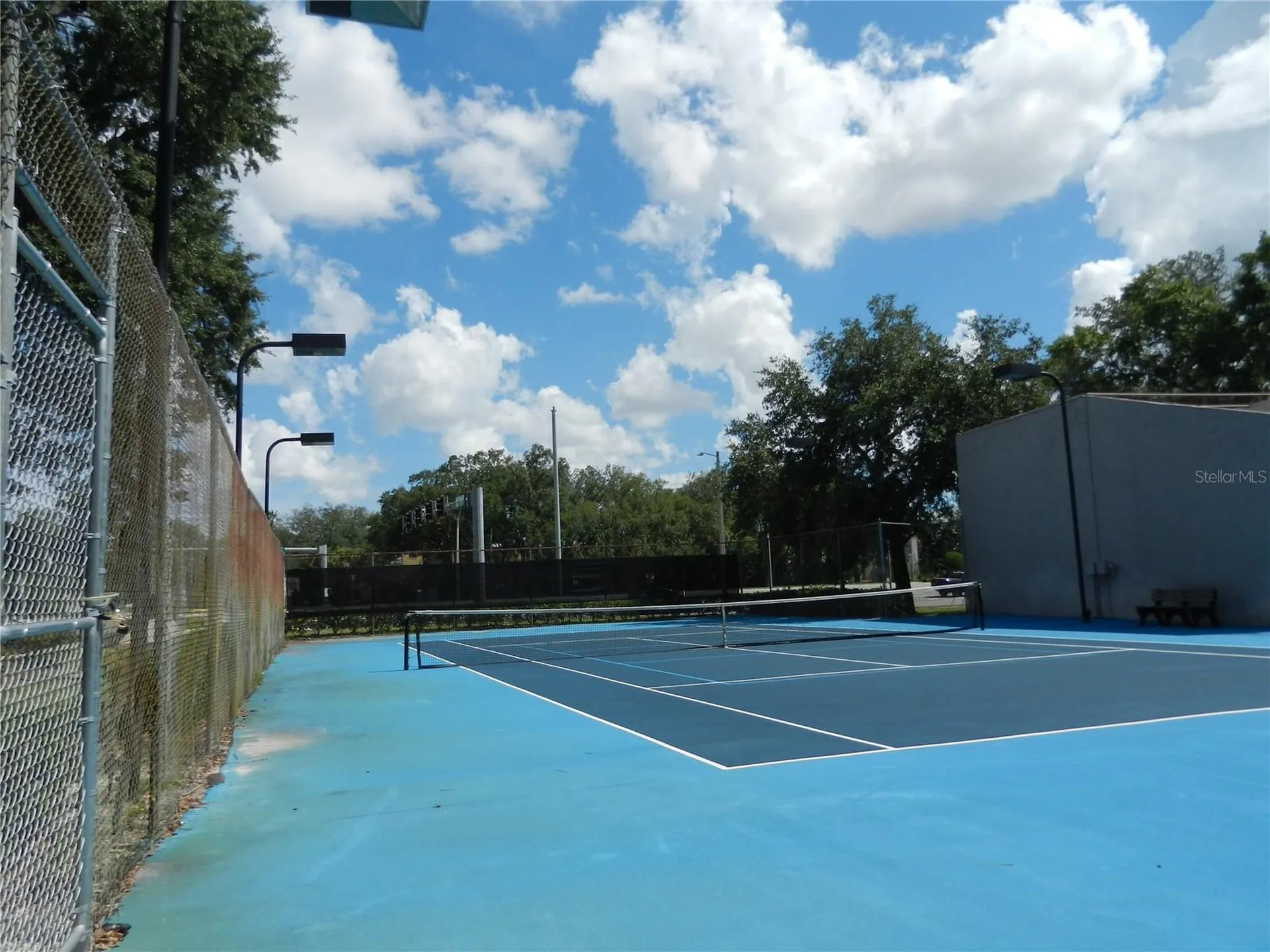 4013 Dream Oak Place Tampa FL 33613