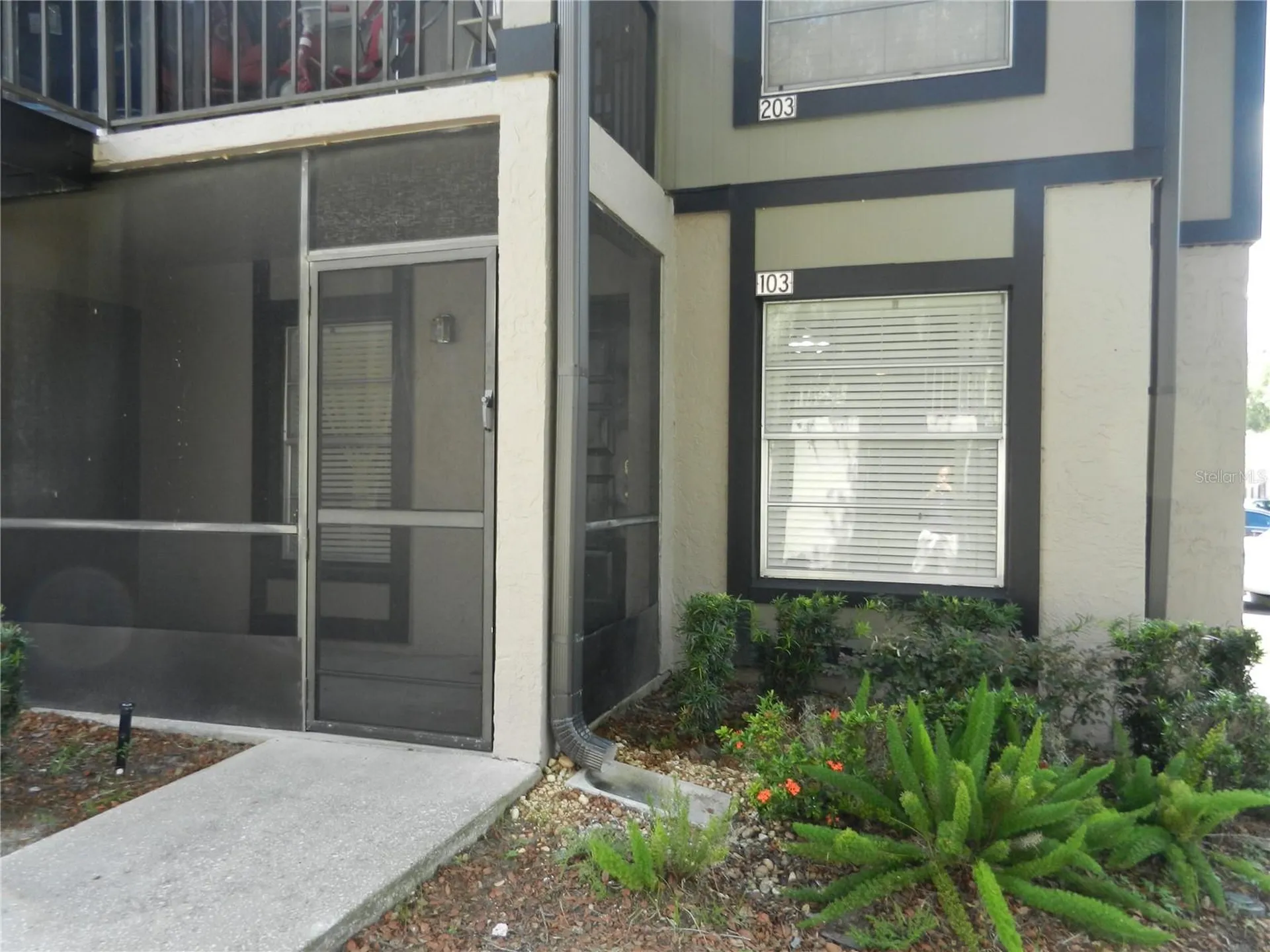 4013 Dream Oak Place Tampa FL 33613