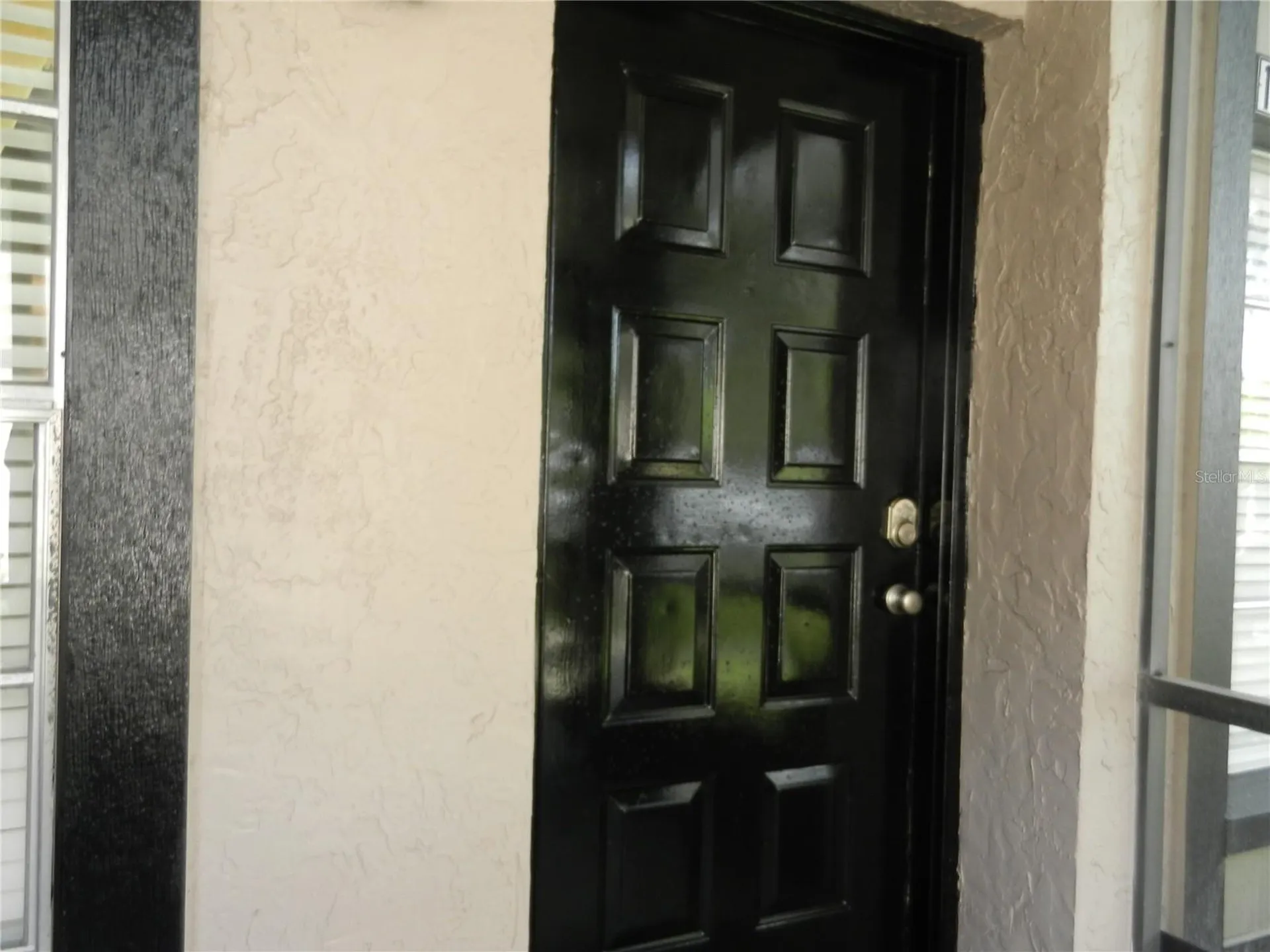 4013 Dream Oak Place Tampa FL 33613