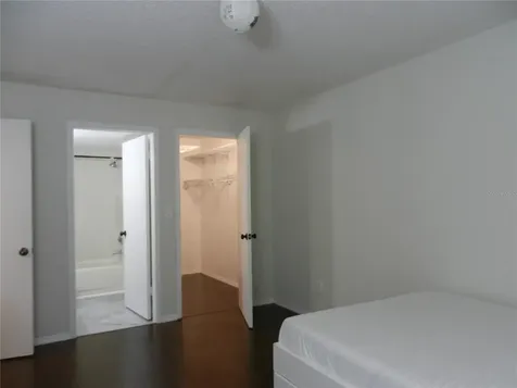 4013 Dream Oak Place Tampa FL 33613
