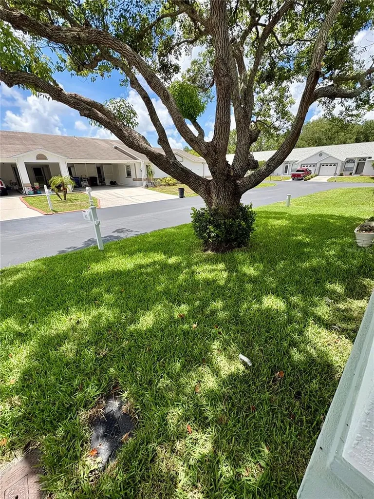 9221 Estrada Place New Port Richey FL 34655