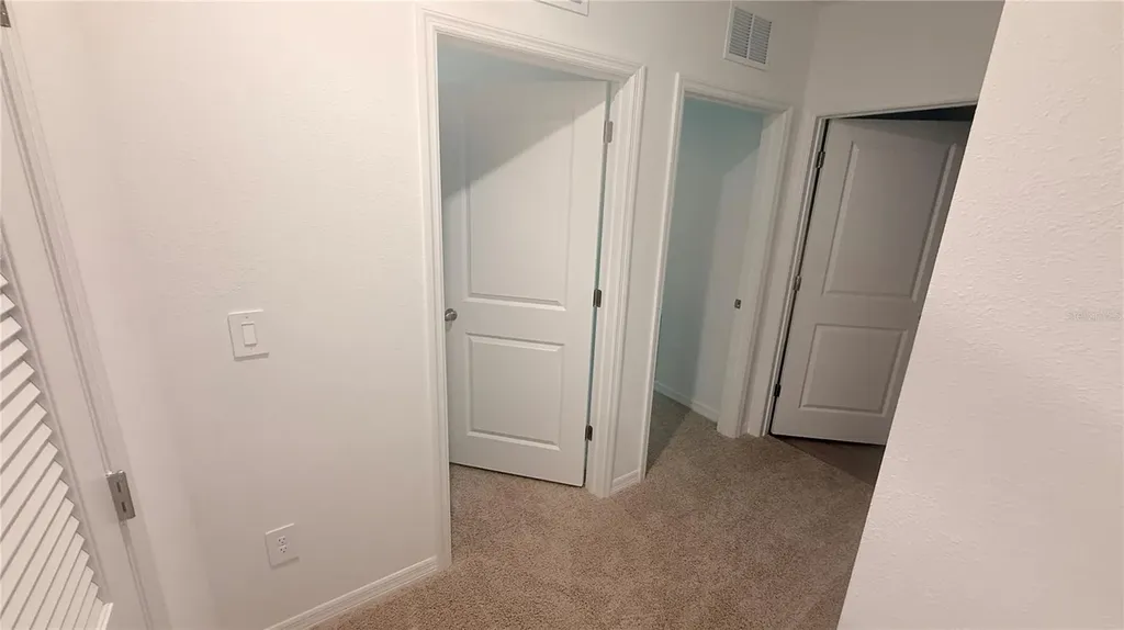 17209 English Chestnut Way Land O Lakes FL 34638