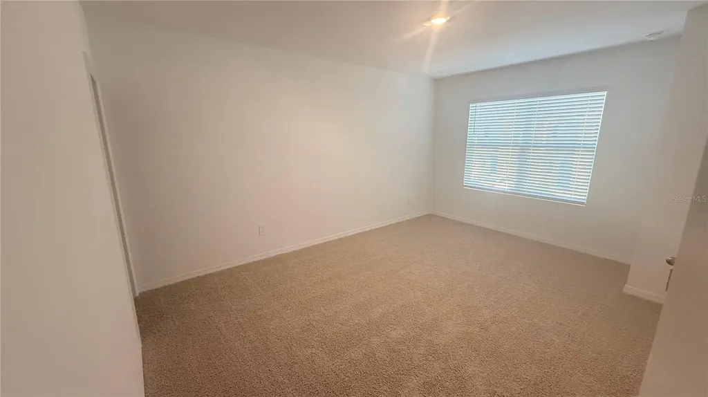 17209 English Chestnut Way Land O Lakes FL 34638