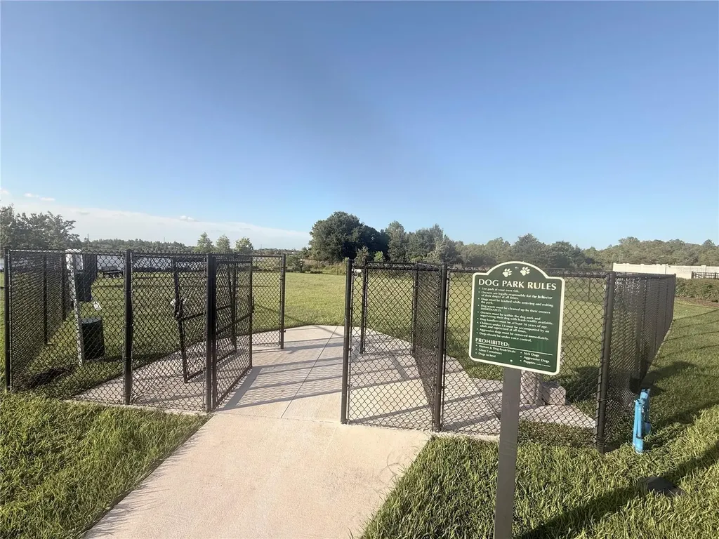 17209 English Chestnut Way Land O Lakes FL 34638