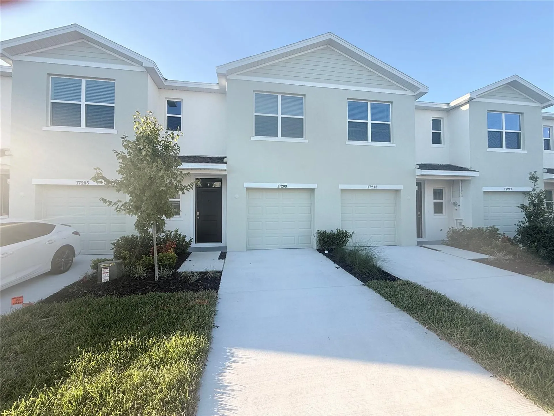 17209 English Chestnut Way Land O Lakes FL 34638