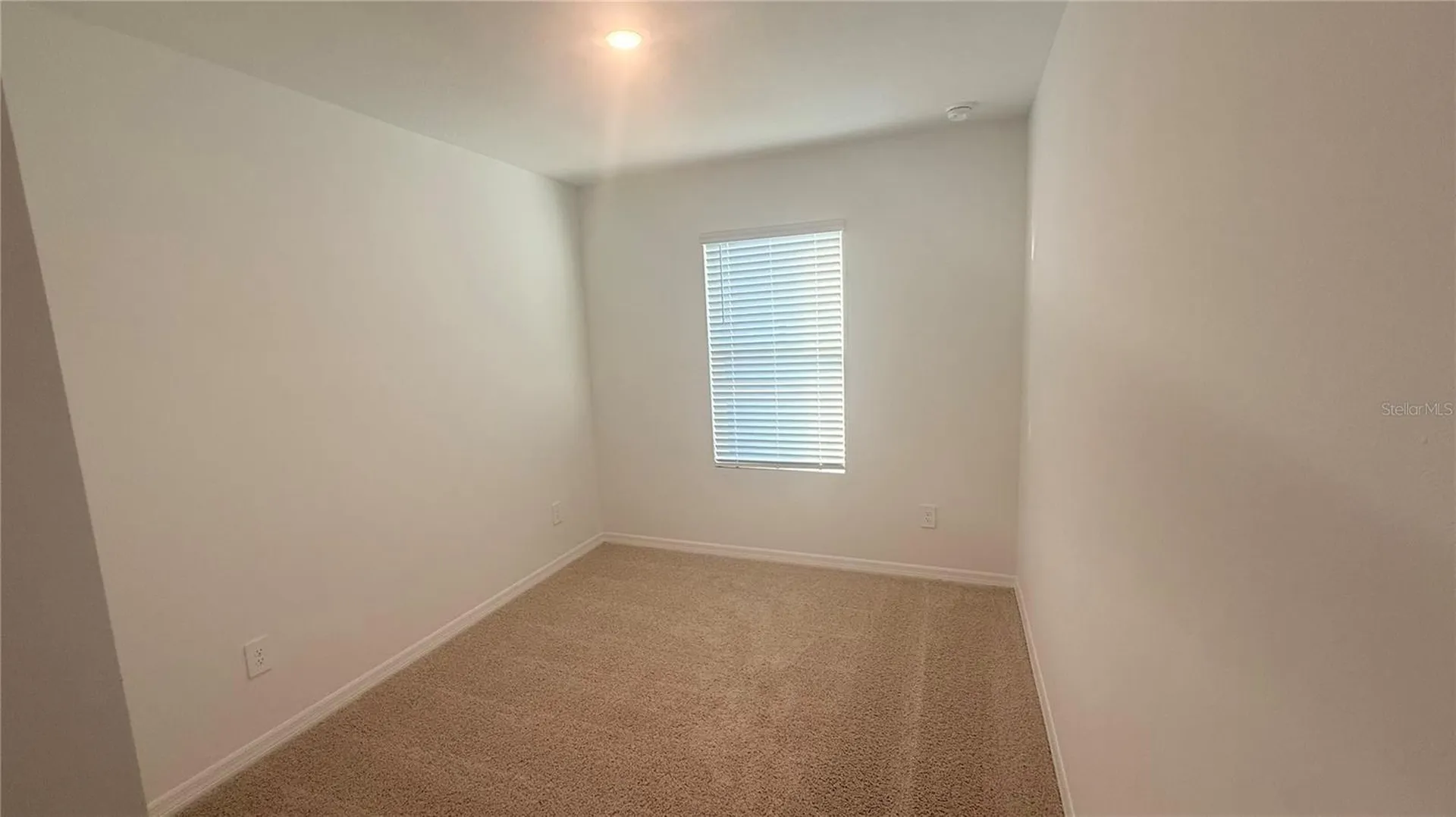 17209 English Chestnut Way Land O Lakes FL 34638
