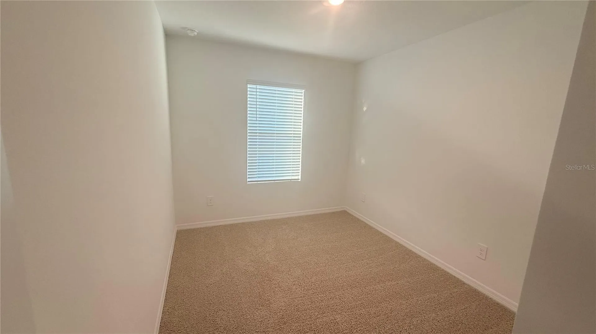 17209 English Chestnut Way Land O Lakes FL 34638