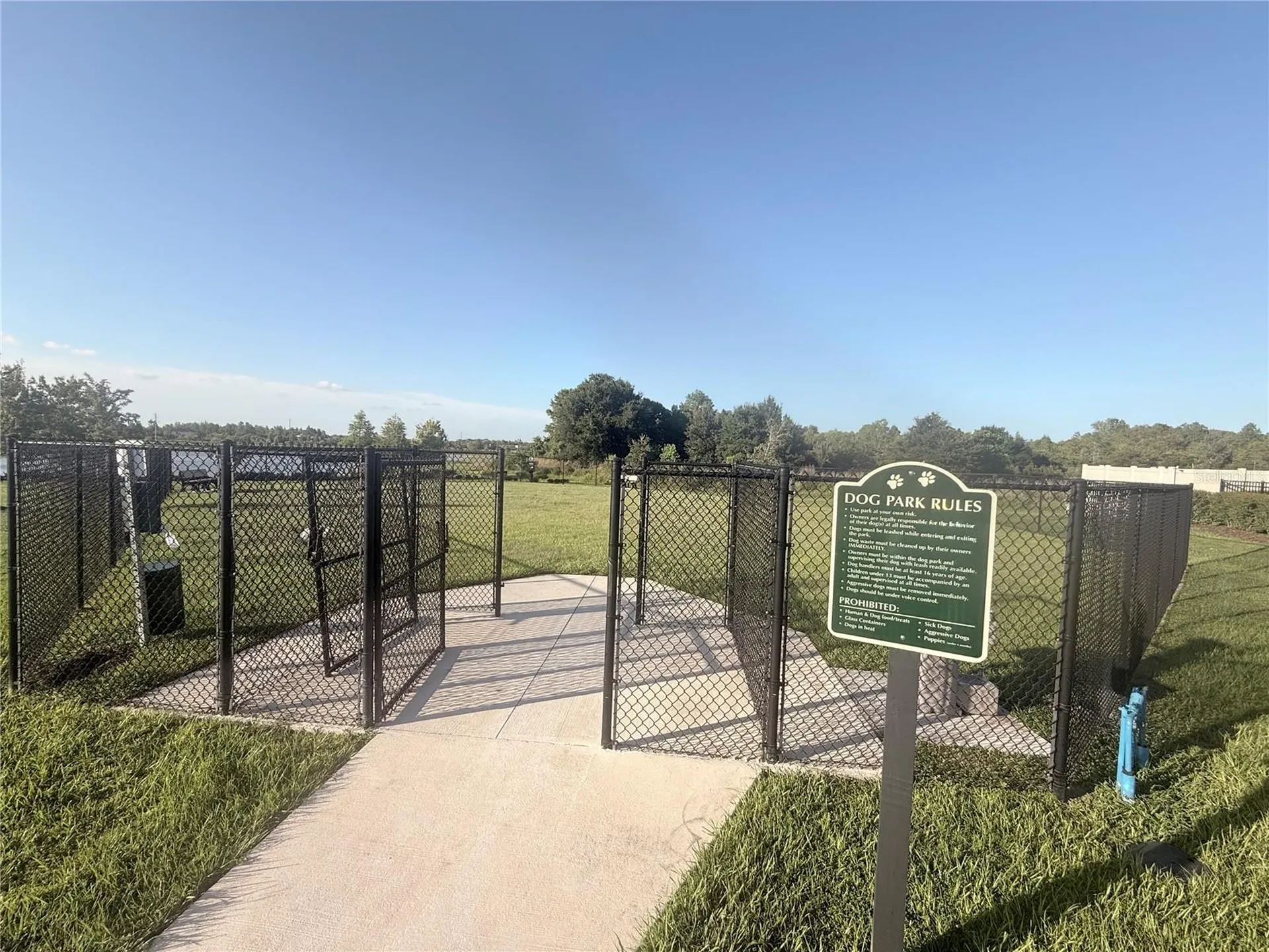 17209 English Chestnut Way Land O Lakes FL 34638