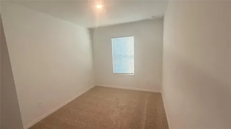 17209 English Chestnut Way Land O Lakes FL 34638