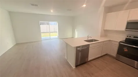 17209 English Chestnut Way Land O Lakes FL 34638