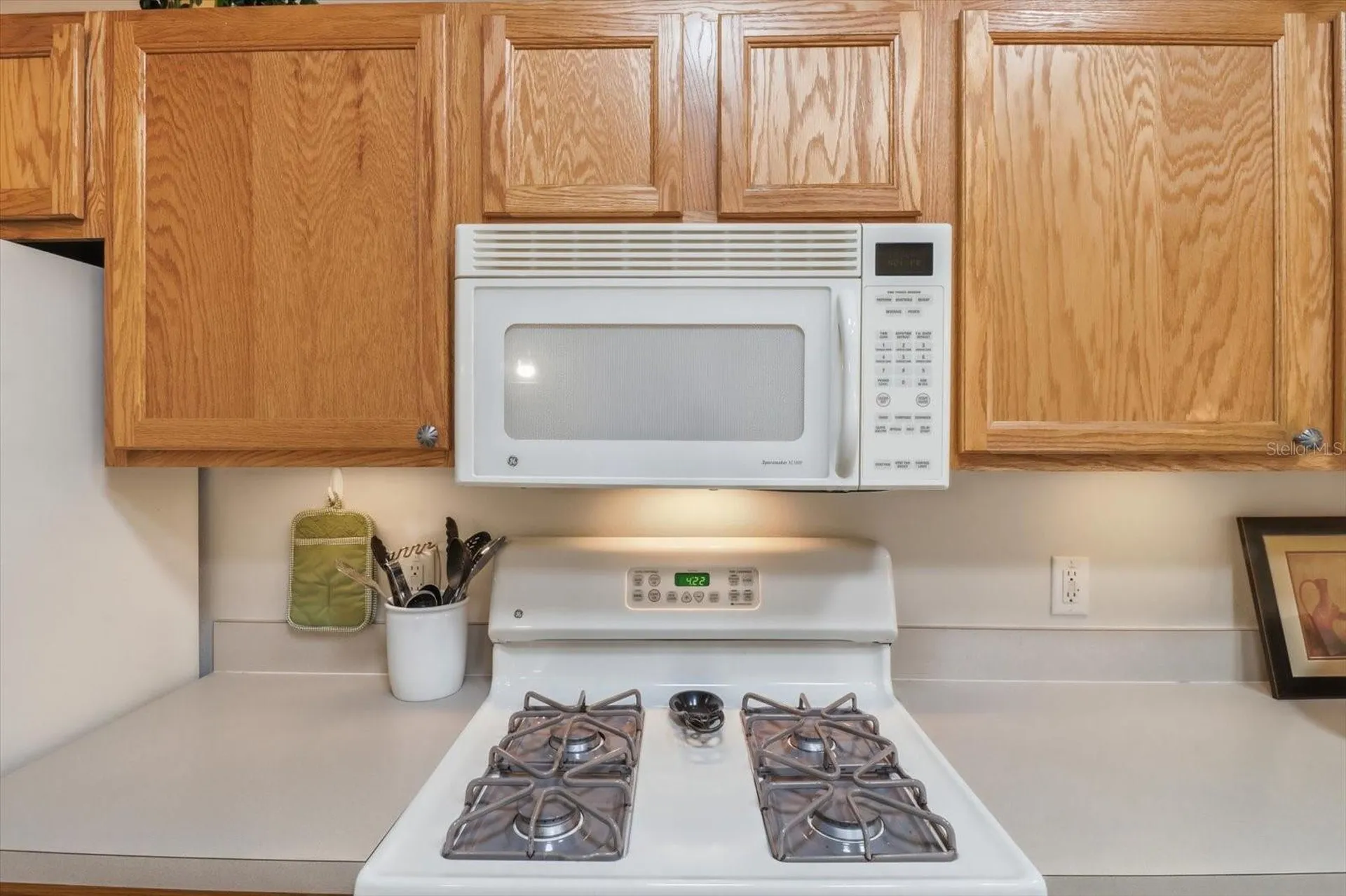 2348 Riley Road The Villages FL 32162