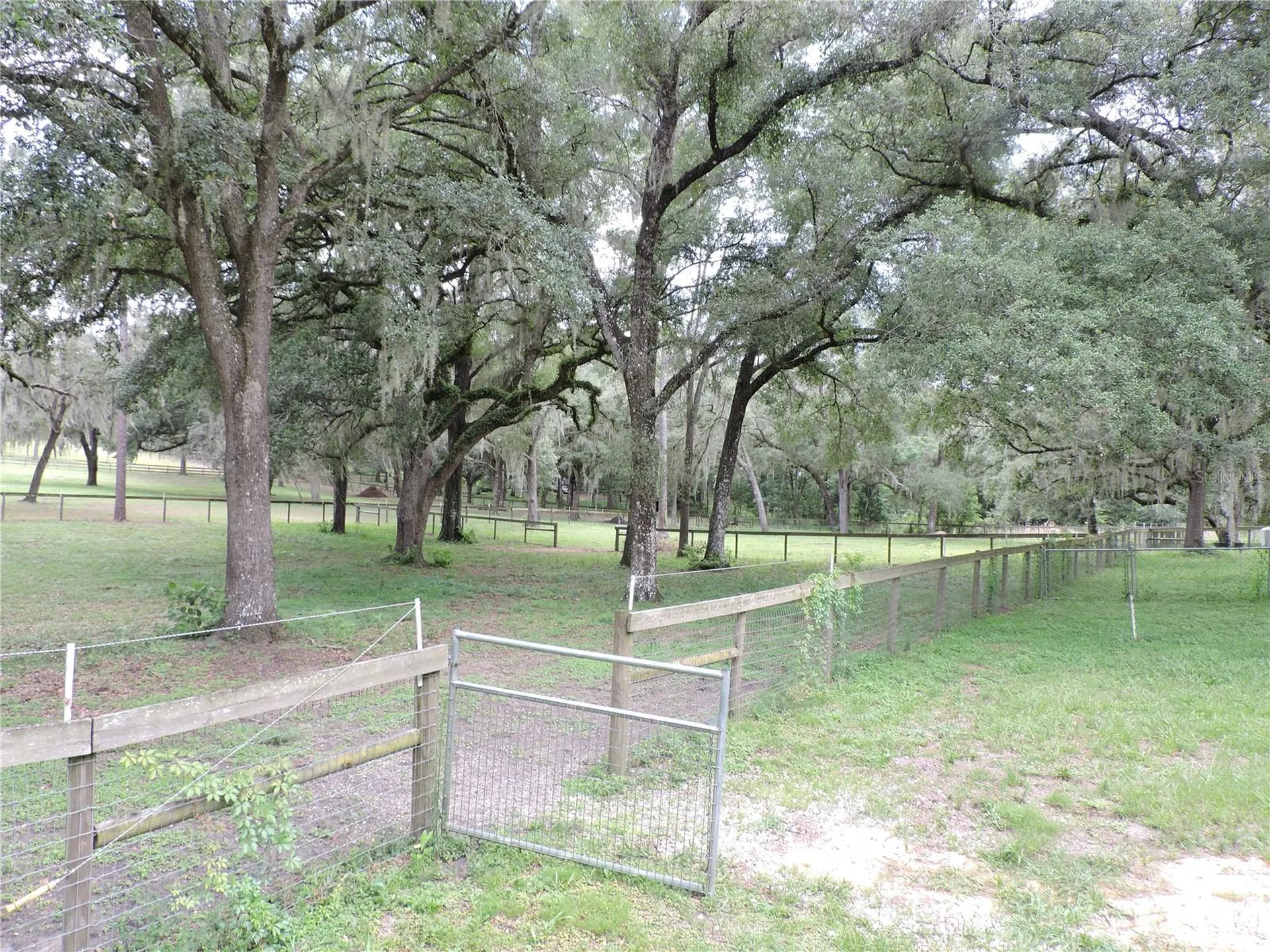 29248 Wildlife Lane Brooksville FL 34602