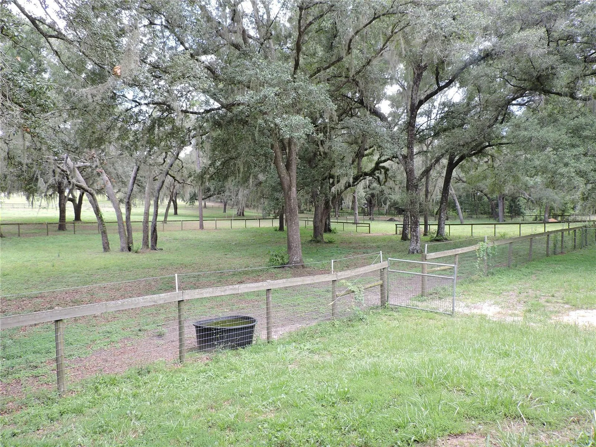 29248 Wildlife Lane Brooksville FL 34602