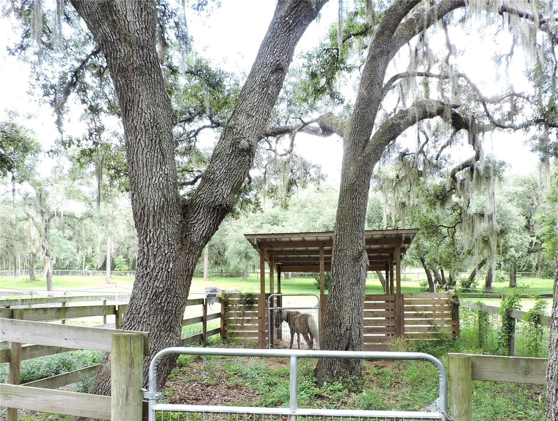 29248 Wildlife Lane Brooksville FL 34602