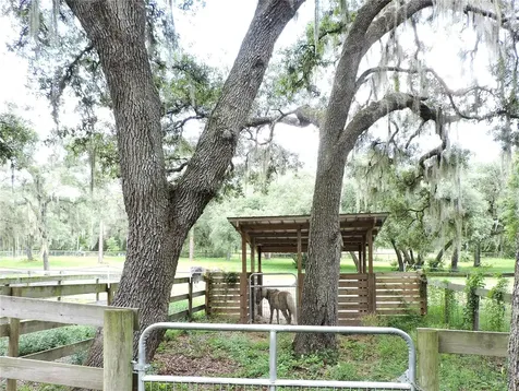 29248 Wildlife Lane Brooksville FL 34602