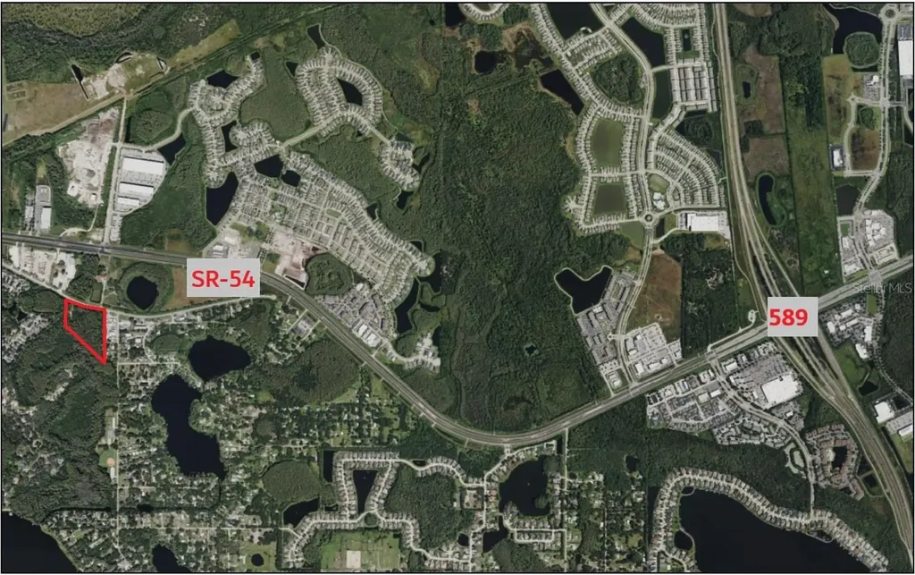 14356 Black Lake Road Odessa FL 33556