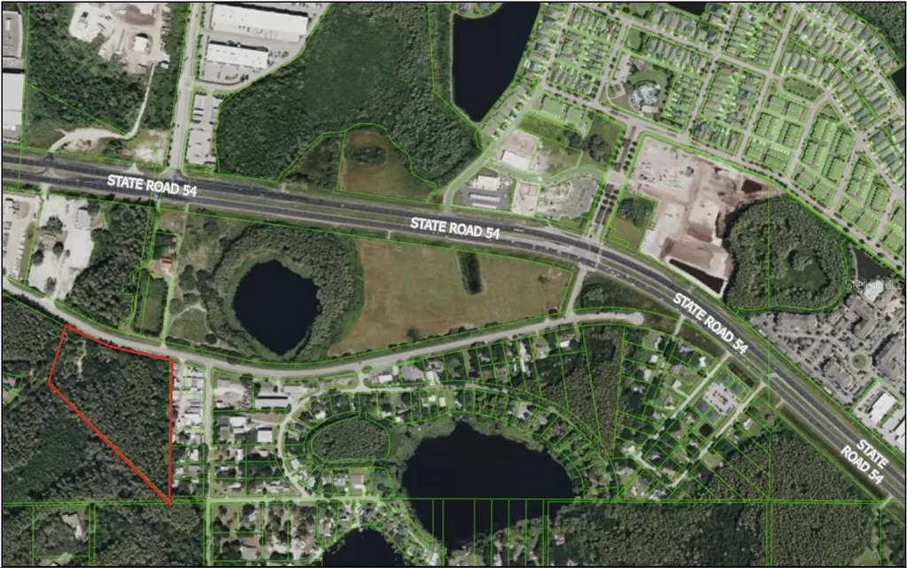 14356 Black Lake Road Odessa FL 33556