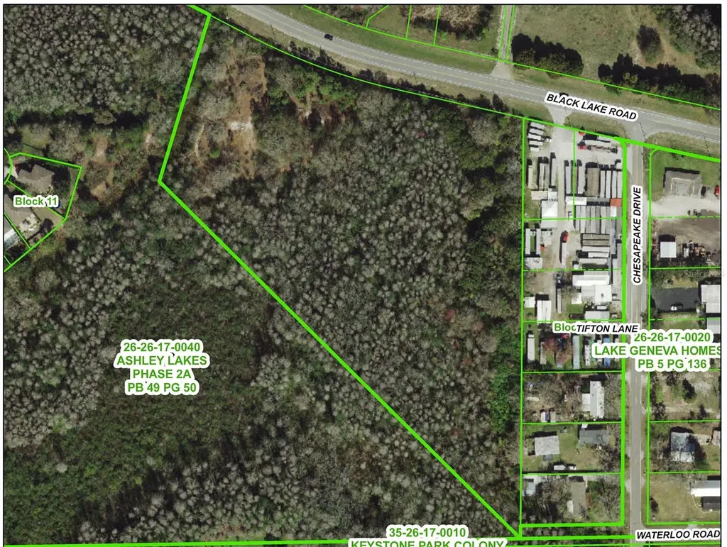 14356 Black Lake Road Odessa FL 33556