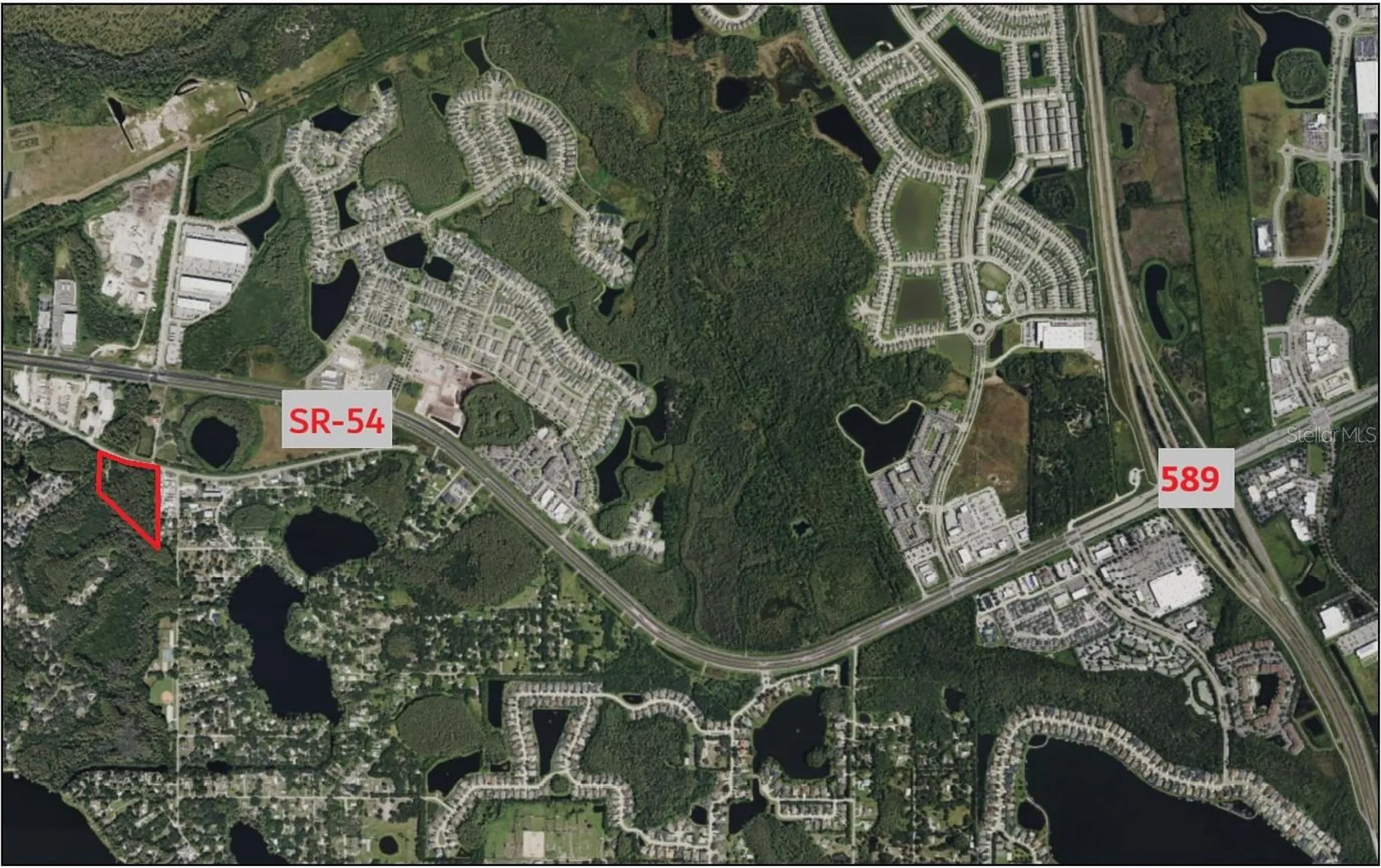 14356 Black Lake Road Odessa FL 33556