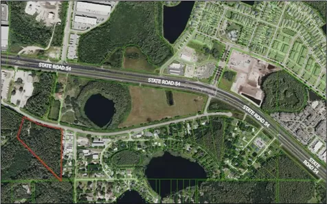 14356 Black Lake Road Odessa FL 33556