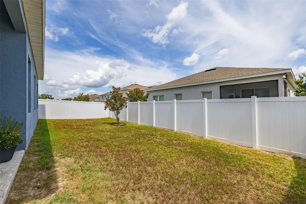 367 August Fern Loop Mount Dora FL 32757