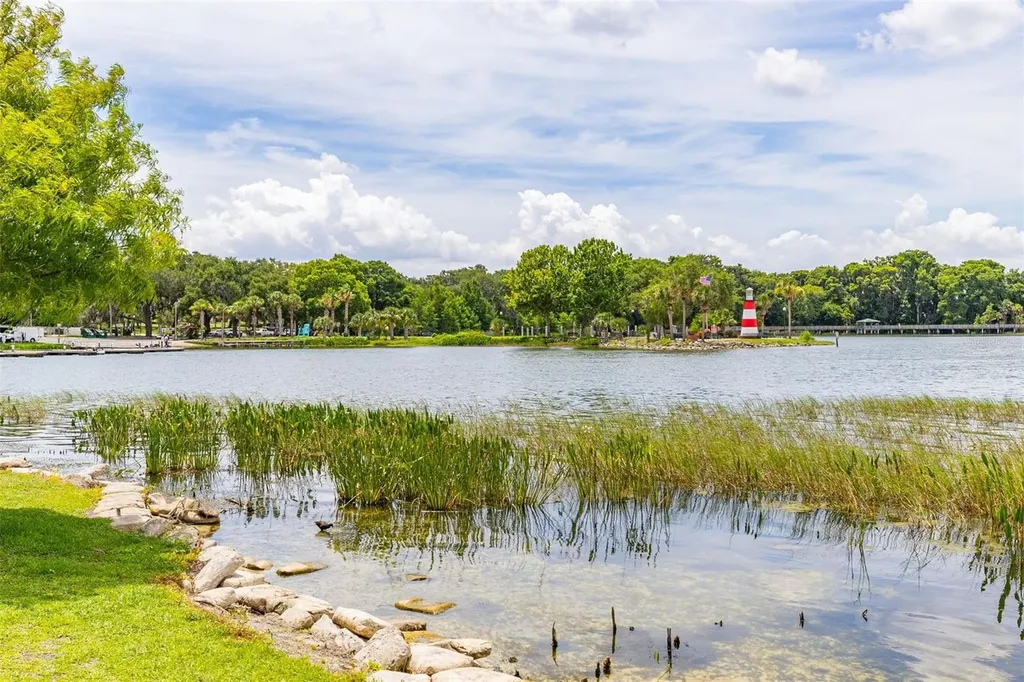 367 August Fern Loop Mount Dora FL 32757