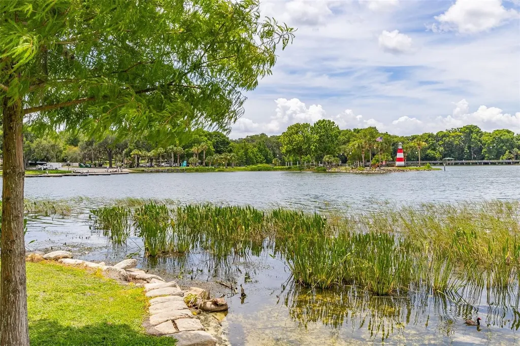 367 August Fern Loop Mount Dora FL 32757