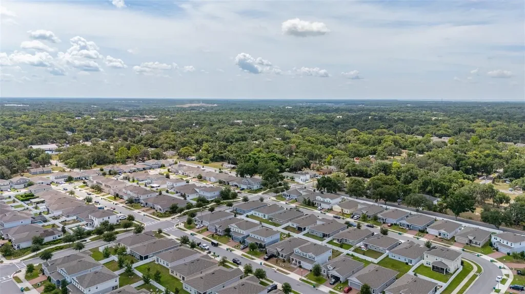 367 August Fern Loop Mount Dora FL 32757