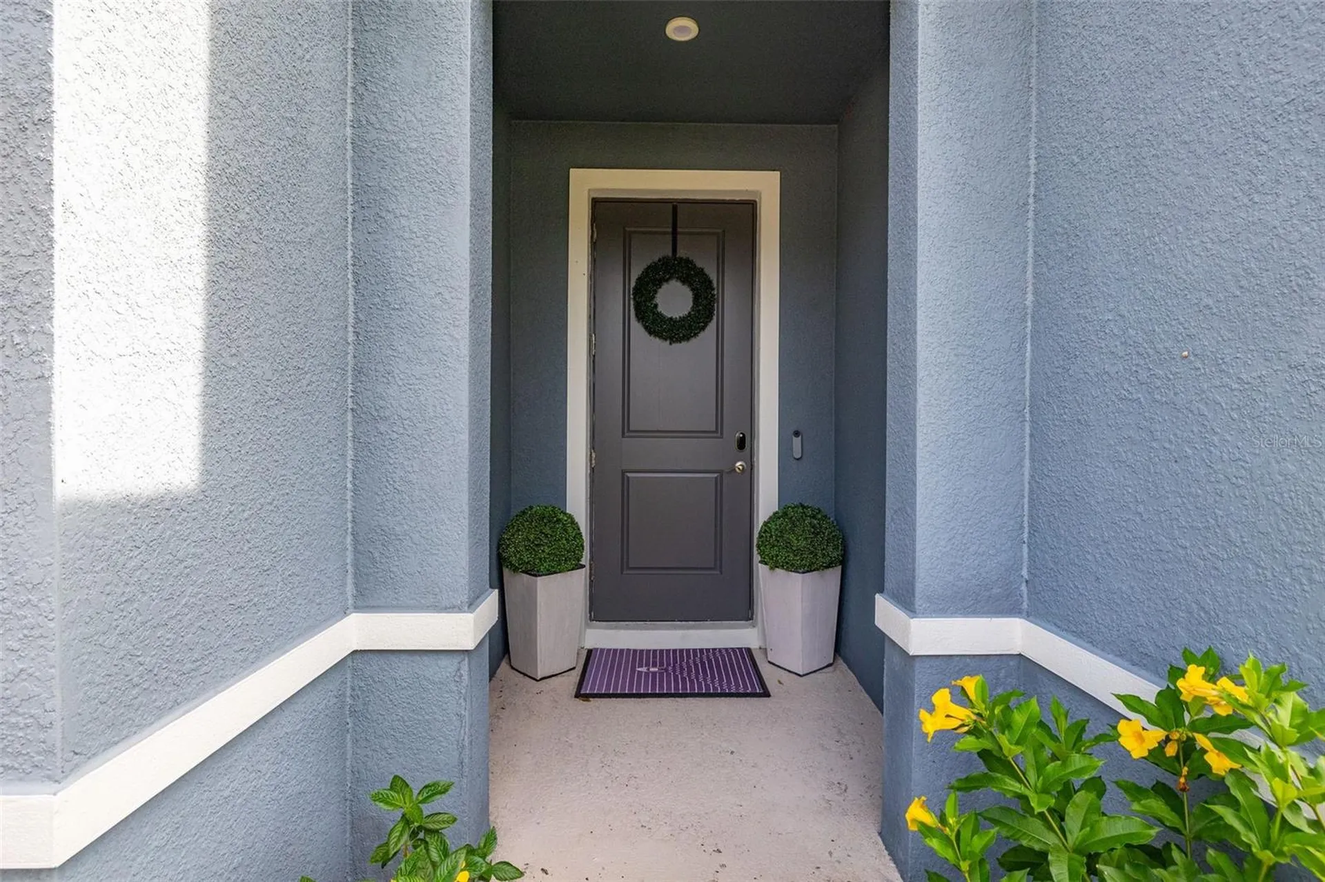 367 August Fern Loop Mount Dora FL 32757