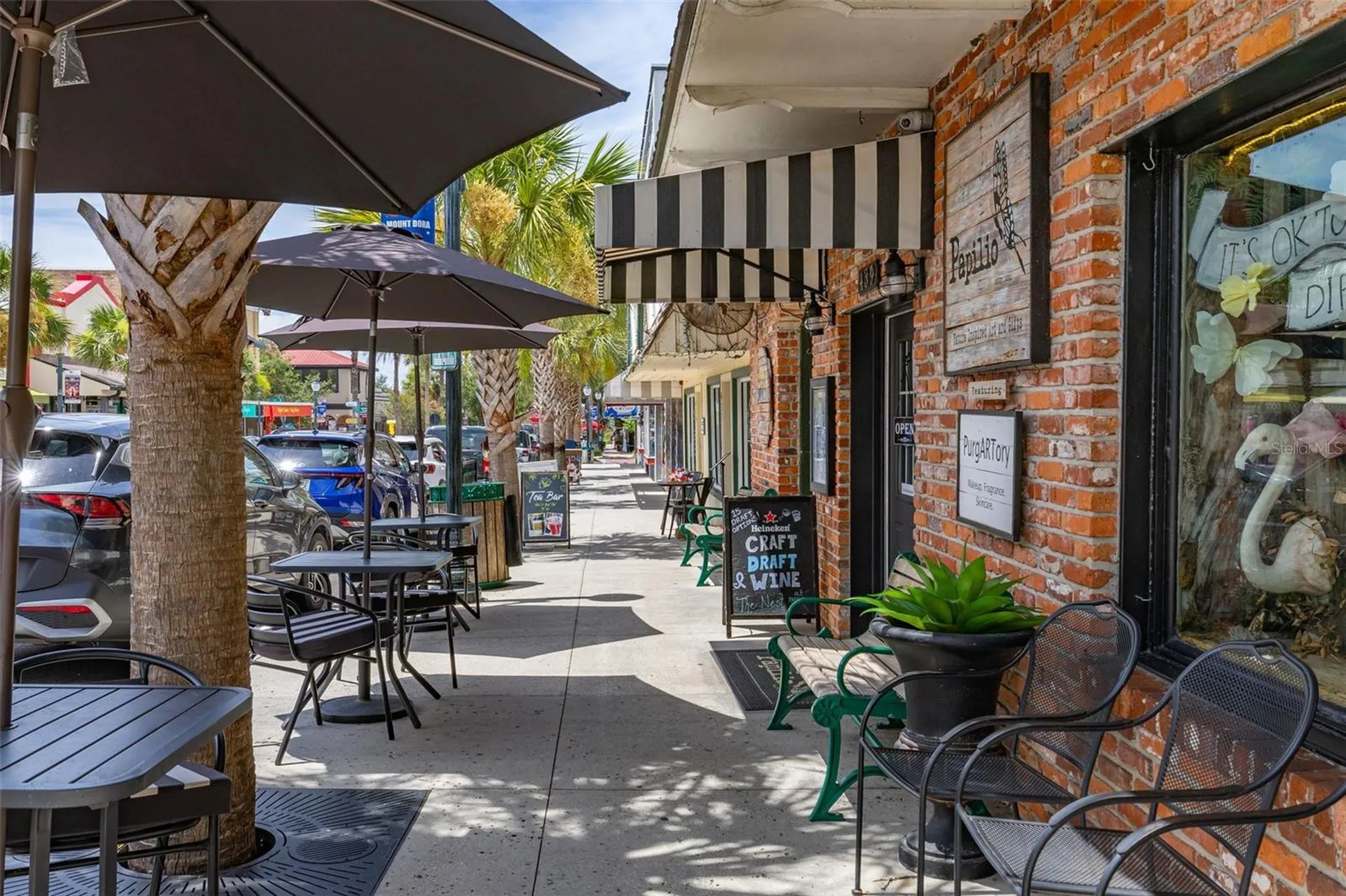 367 August Fern Loop Mount Dora FL 32757