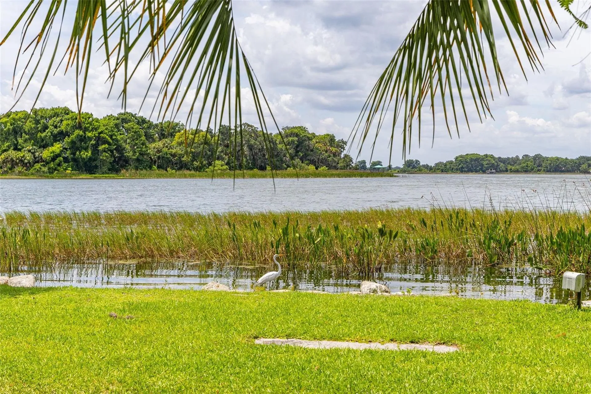 367 August Fern Loop Mount Dora FL 32757