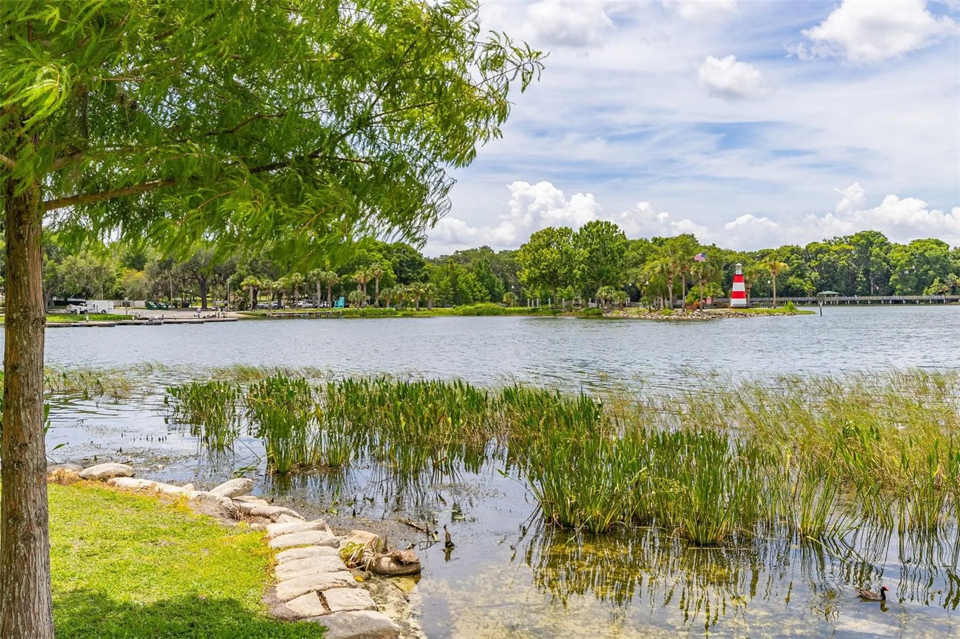 367 August Fern Loop Mount Dora FL 32757